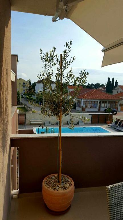 Antonija Apartments With Pool Біоград-на-Мору Екстер'єр фото